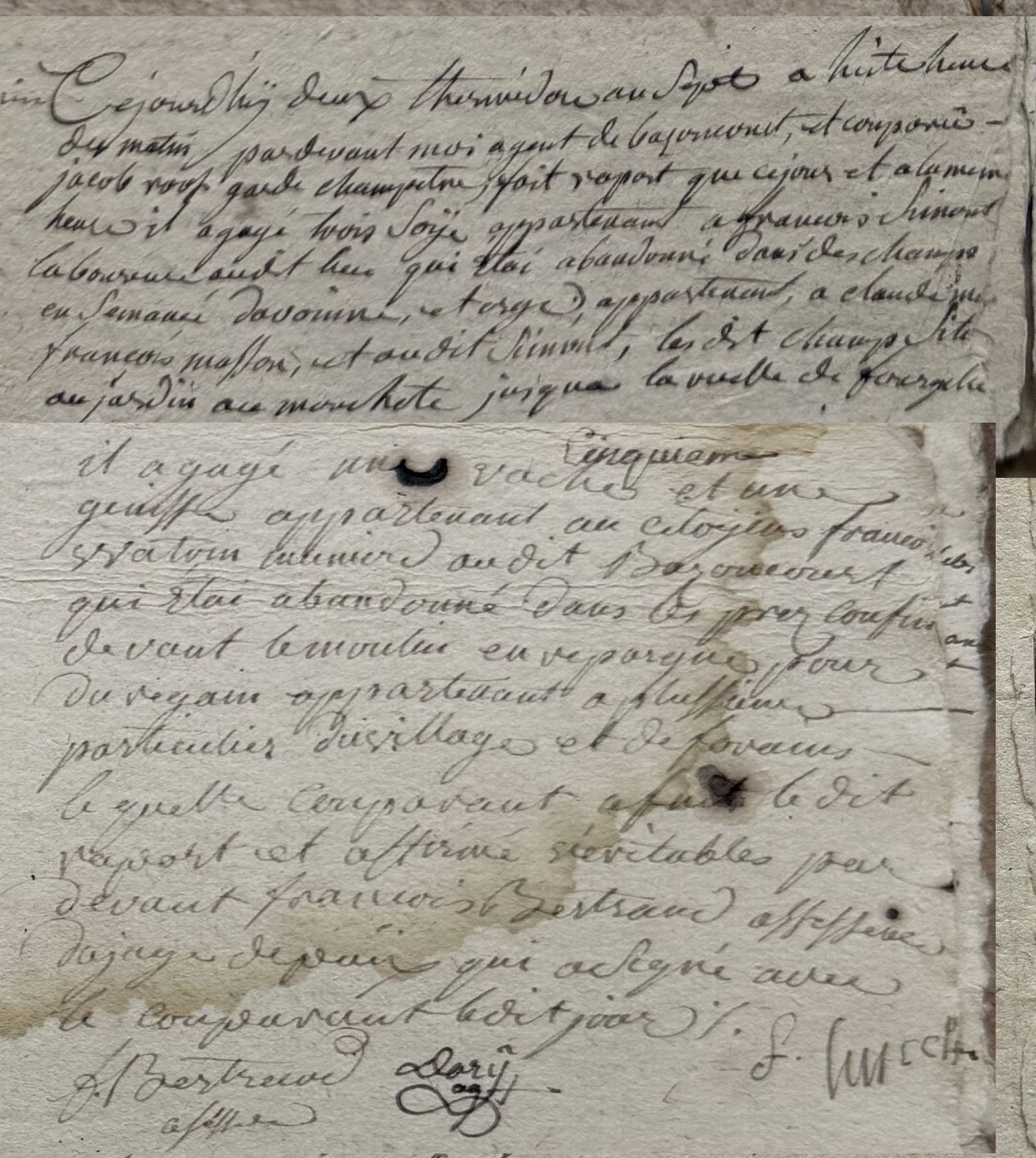 Registres des rapports du garde-champêtre – 2 thermidor an VII