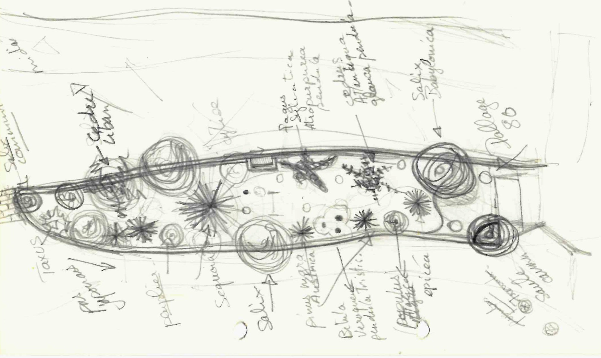 Plan d'aménagement